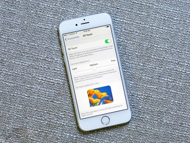 12033538_10207409658616434_1636274328_n