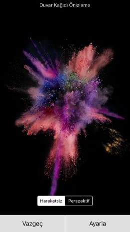 12033538_10207409658616434_1636274328_n